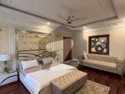 Fully Furnished Luxurious House for rent on weekly Basis