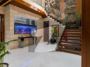 Fully Furnished Modern Bungalow For Rent At Super Hot...