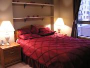 Fully furnished one bedroom condo in Downtown