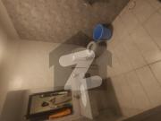 Fully Furnished Pine Height Luxury Apartments For Rent...