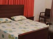 Fully Furnished standard size Bedroom available in main...