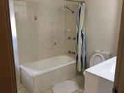 Fully furnished two bedroom apartment in the heart of... Fully furnished two bedroom apartment in the heart of...