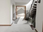 Fully Independent House Available For Rent In F 8