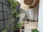 Most Luxurious, Lease, Double Storey, 240sqyd House