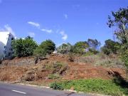 Funchal Funchal 100530360