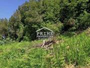 Funchal Ilha da Madeira 82130018 Funchal Ilha da Madeira 82130018