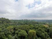 Agradável apartamento tipo para venda em Cursino com 2...