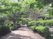 ATENCION CONSTRUCTORAS FUNDO EN VENTA CIENEGUILLA...