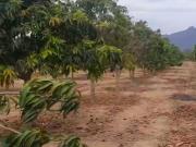 Fundo en Olmos, 30 Hectáreas, con casa, piscina y...