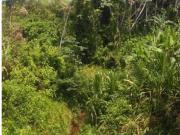 Fundo en Venta Ucayali Atalaya