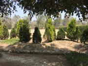 FUNDO LA PRADERA  LOTE 2,060.42 M2 EN EXCLUSIVO...