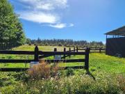 FUNDO SANTIAGO GRANDE S/N SECTOR LOS LEONES