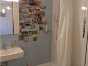 Für Katzenliebhaber in Zürich Kreis 6, möbliert, auf Zeit