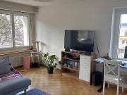 Für Katzenliebhaber in Zürich Kreis 9 Altstetten,...