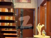 Furnished 10 marla house for rent in dha phase 8 just...