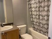 Furnished 1 Bed 1 Bath