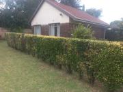 furnished 1 bedroom garden cottage t.