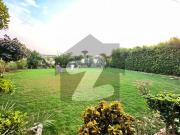 Furnished 25 Marla House with Huge Lawn Bahria Town Phase 8