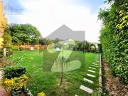 Furnished 25 Marla House with Huge Lawn Bahria Town...