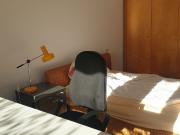 Furnished 2 rooms apartment for expats/Interim Managers...