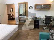 Furnished 3 bedroom ground floor apartment available for...