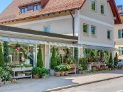 Furnished 3 room apartment in Solln