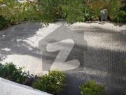 Furnished Bungalow For Rent Clifton Block 8