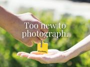 Furnished Character Home