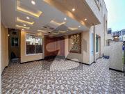 Furnished house for rent