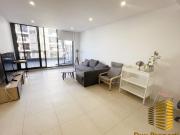 Furnished Luxury Apartment with Expansive Terrace