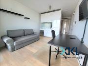 Furnished one bedroom in The Mark Central Park