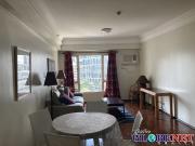 Furnished Park Tower 2 Bedroom Condo