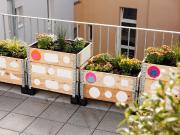 Furnished short term studios in Aachen, Aachen Amsterdam...