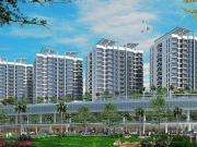 Furnished Studio at the Mactan Newtown 14K per Month