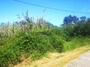 Futuro Terreno Industrial 8374m2 c/ Projeto Aprovado |...