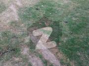 G17/1 2 7 Marla Plot File Cost Of Land Clear Is Up For Sale