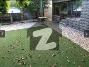 G 10/3 500 Yard 7 Bed House For Rent