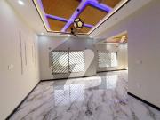 G 11/1 Square Feet House Up For Sale