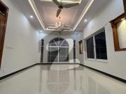 G 13, Brand New Size 356 Yards Architect Design Double...