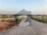 G 14/2 Double Road Back Plot Size 1 Kanal