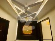 G 14/4, Brand New Size 139 Yard Architect Design Double...