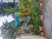 G 6/3 Old House For Sale Near Main Embassy Road Dead End...