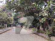 G. 6 Demolish Able House Size 1200 Sqyd 3 Side Corner...