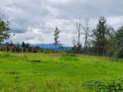 G.B_VENTA TERRENO EN PUEMBO 16.000 m² ÚTILES, Excelente...