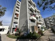 GABRIEL PALMA CON EL ROBLE GABRIEL PALMA CON EL ROBLE