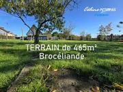 Gaël 35290 Achat / Vente terrain