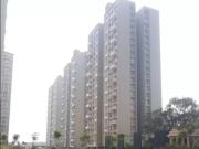 Gahunje 1 BHK Apartment For Sale Pune