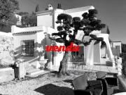 GAIRAUT VILLA VUE PANORAMIQUE MER