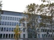 Gallus ¦ 455 m² 2.275 m² ¦ EUR 15,00/m² ¦ #keineprovision