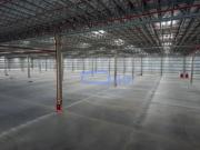 Galpão 45423 m² – 78 Docas – Guarulhos – Dutra